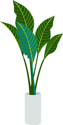ilustración de una maceta con una planta