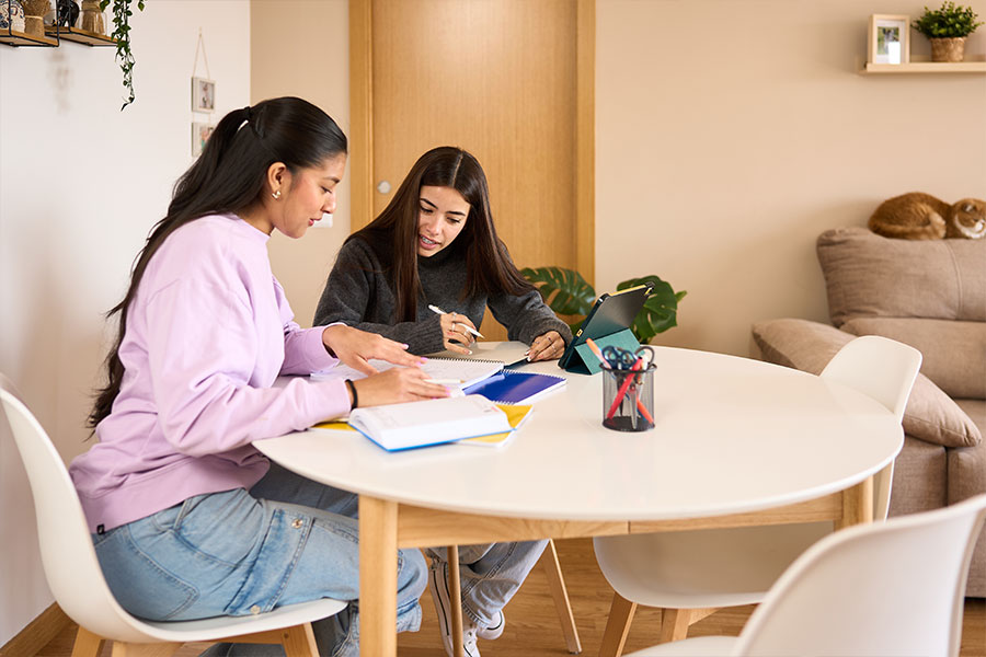 Beneficios de la convivencia entre estudiantes